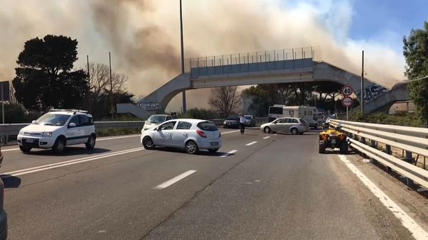 Лесные пожары в Европе Лесные пожары в Европе