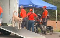 Erdőtűz után áradás Arizonában