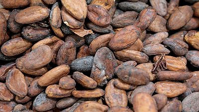 Ghana: haro sur la contrebande du cacao ivoirien