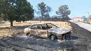 Incêndios não dão descanso nos distritos de Viseu e Vila Real