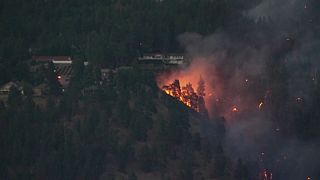 Tens of thousands of people evacuated as wildfires continue to sweep across British Columbia