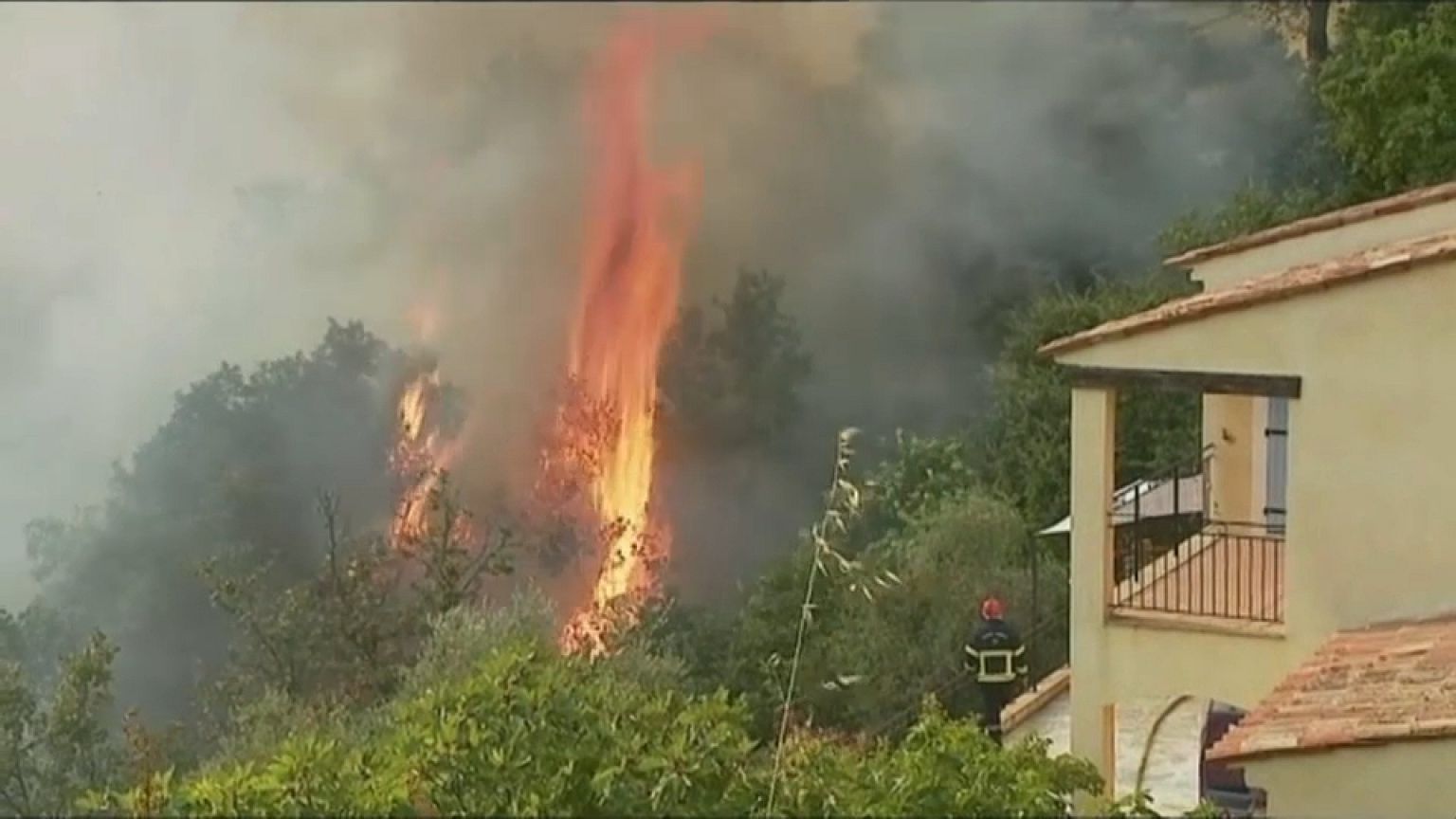 Incendies en France : Castagniers aux aguets