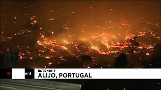 Firefighters battle to control forest blazes in Portugal