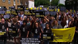Реакции на арест активистов Amnesty International
