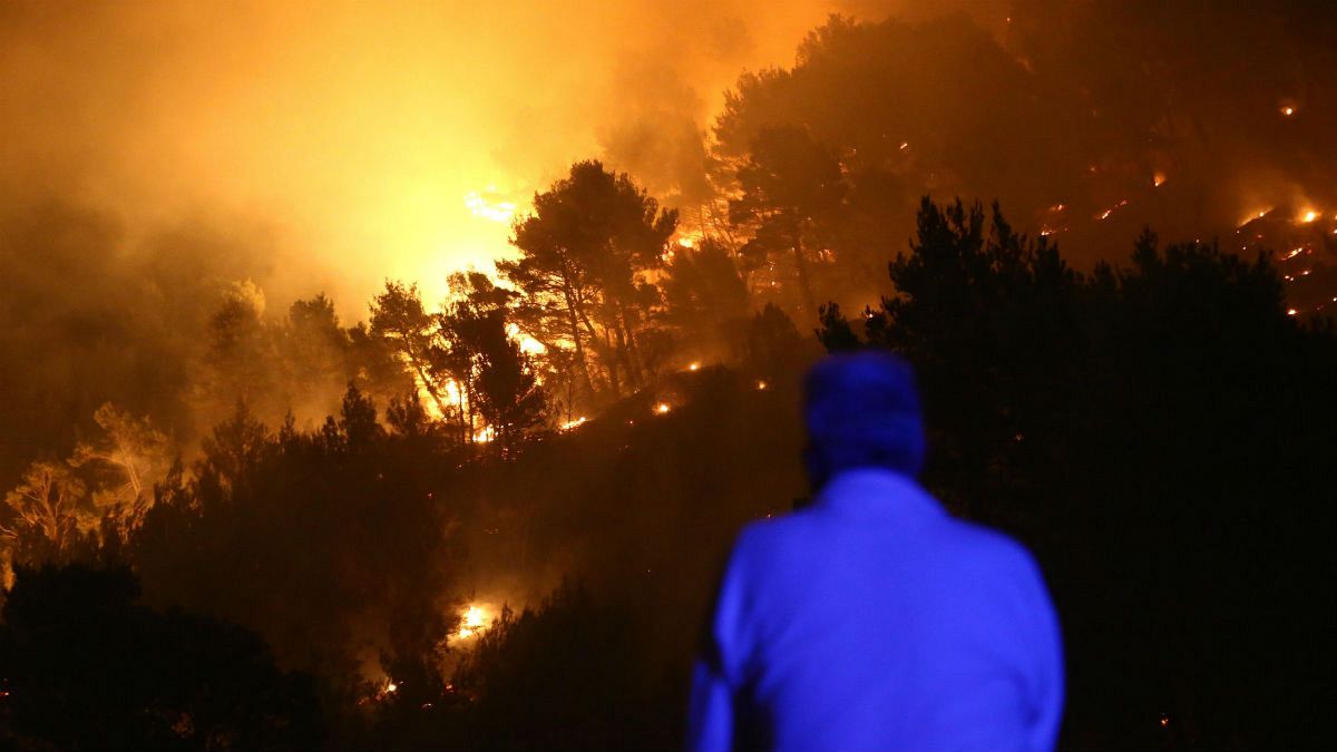 Climate change blamed as EU's forest fires more than double