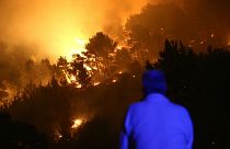 Peritos culpam alterações climáticas pelo triplo de fogos na UE