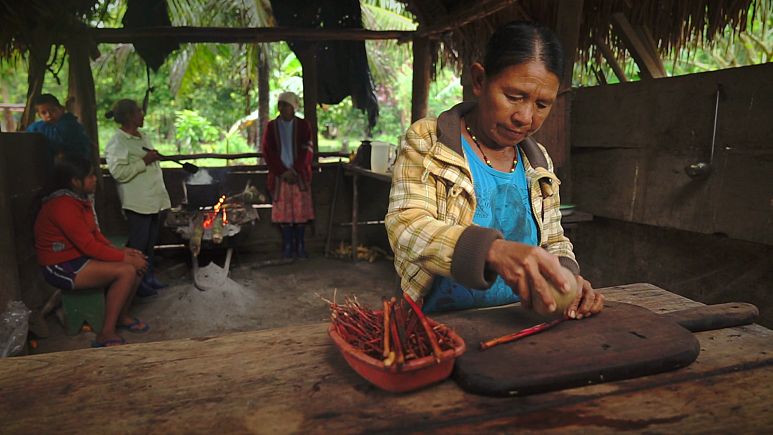 Bolivien: Erste Hilfe aus dem Dschungel Bolivien: Erste Hilfe aus dem Dschungel
