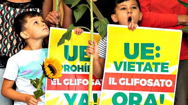 Manifestação contra Pesticidas Manifestação contra Pesticidas