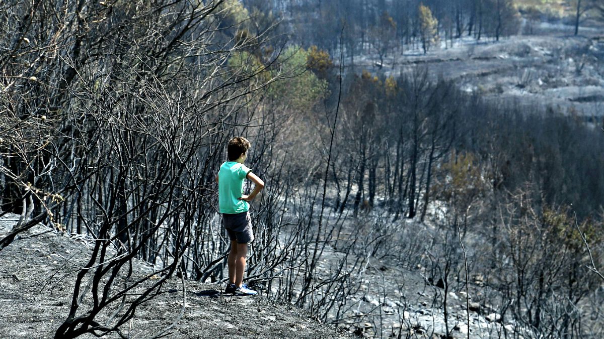 Szenes táj, kiégett autók és házak a tűz után Horvátországban