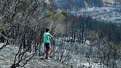 Szenes táj, kiégett autók és házak a tűz után Horvátországban