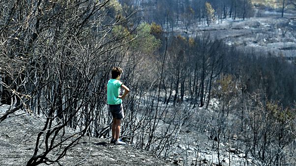 Szenes táj, kiégett autók és házak a tűz után Horvátországban Szenes táj, kiégett autók és házak a tűz után Horvátországban
