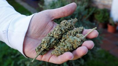 Patikában lehet marihuánát venni Uruguayban