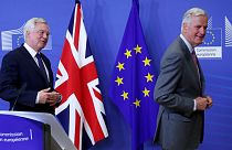 Brexit'te ikinci tur: Derin görüş ayrılıkları devam ediyor