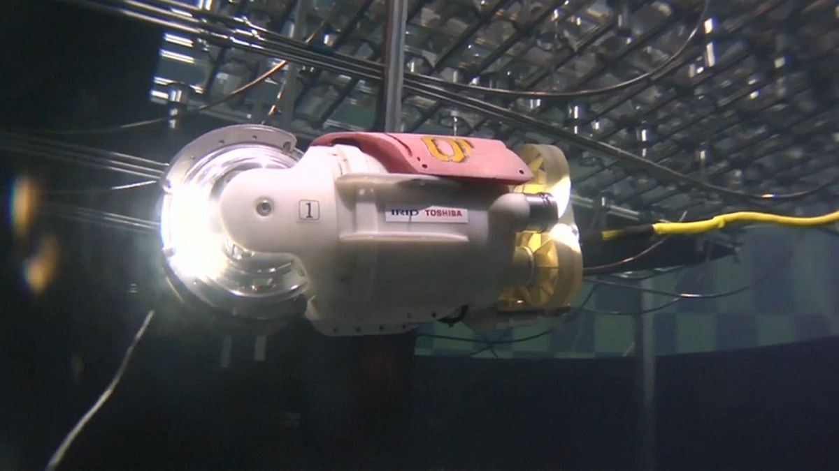 Roboter schwimmt durch Fukushima