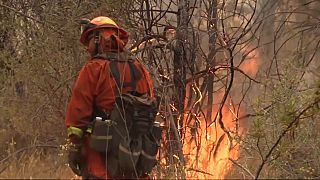 California'daki orman yangınında 5 bin kişi tahliye edildi