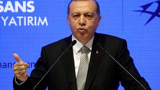 Erdogan attacks Germany over investment scare