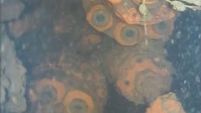 رواسب نووية ضخمة تحت الماء في فوكوشيما