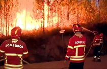Portekiz'i yeniden yangın paniği sardı