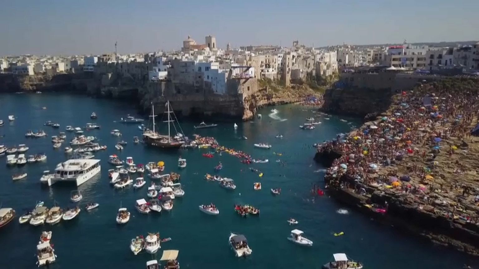 Grand spectacle dans la grande bleue