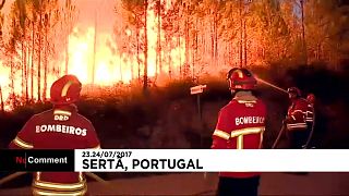 В Португалии вновь бушуют лесные пожары