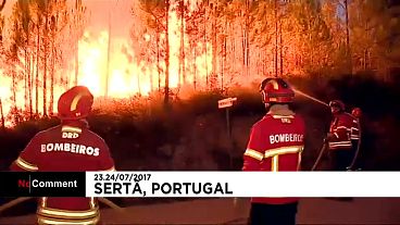 Fresh forest fires hit Portugal