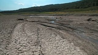 Emergenza siccità in Italia: due terzi del paese senz'acqua