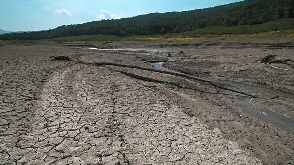 Emergenza siccità in Italia: due terzi del paese senz'acqua Emergenza siccità in Italia: due terzi del paese senz'acqua
