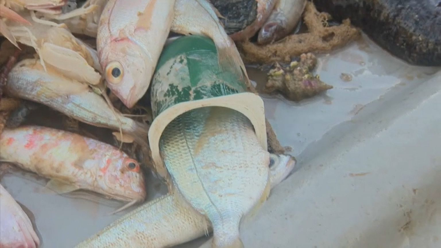 Les vêtements recyclés de la mer