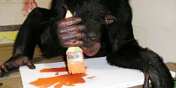 Exhibition of 'Ape Art' opens in Florida