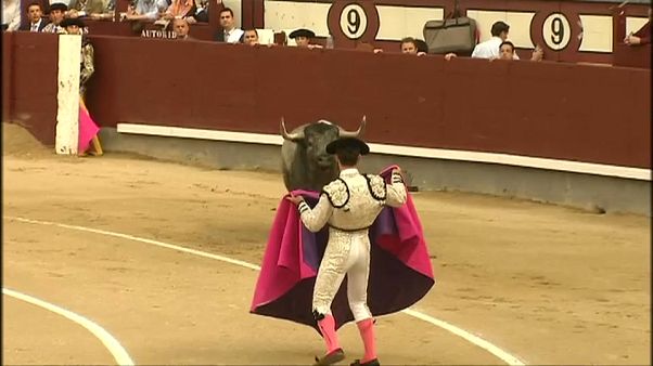 Toros en Baleares: sin muerte ni sangre Toros en Baleares: sin muerte ni sangre