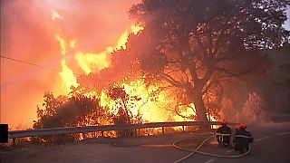 Корсика: огонь вплотную подошел к жилым домам