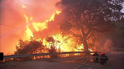 Корсика: огонь вплотную подошел к жилым домам