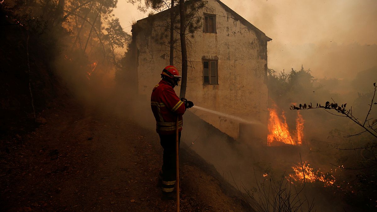 Thousands flee as new wildfire hits southern France