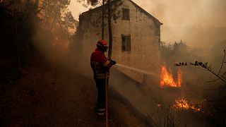 Il fronte dei fuochi nell'Europa mediterranea