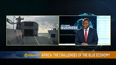 How Africa can benefit from the 'blue economy' [Business]