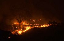 Portogallo: notte di fiamme