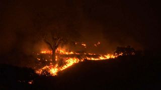 Portogallo: notte di fiamme