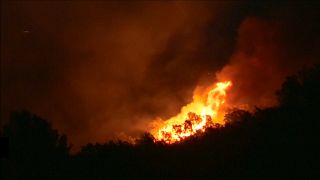 آتش سوزی در جنگل های جنوب فرانسه باعث تخلیه ساکنان و گردشگران شد