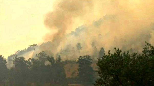 Portugal : le combat des soldats du feu Portugal : le combat des soldats du feu
