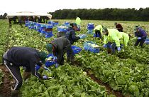 Brit nemzeti konzultáció