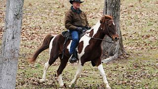 Image: Republican Senate candidate Roy Moore arrives on his horse to cast h