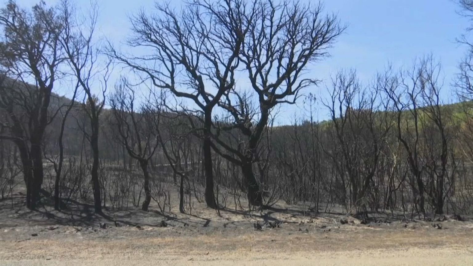 Francia, incendi sotto controllo