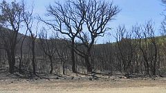 Vers la fin des incendies en France