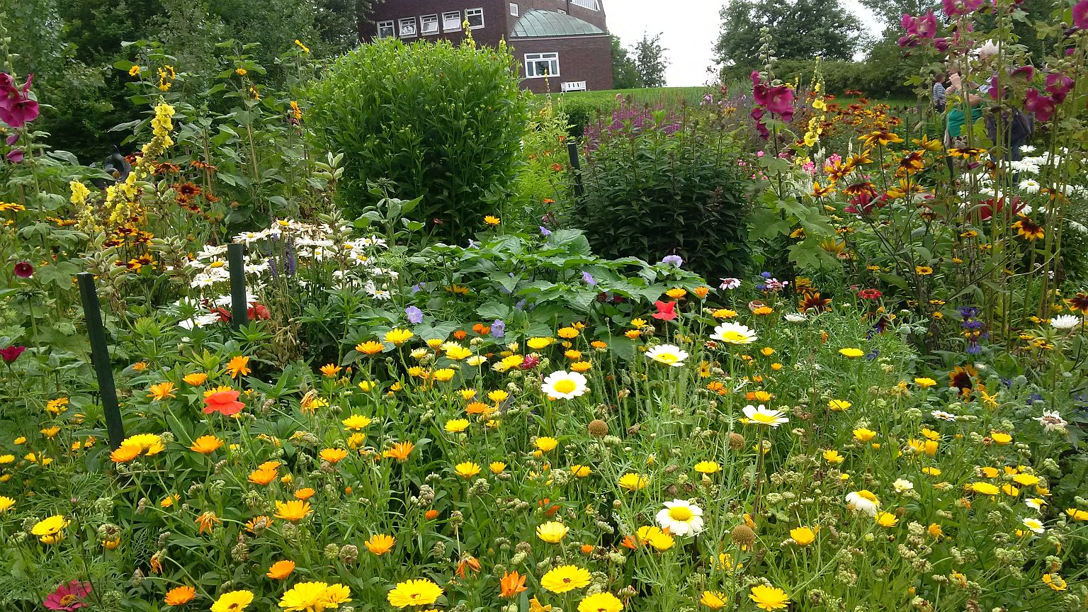 "Meisterwerke" zum 150. Geburtstag von Emil Nolde