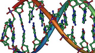 هل تنجح تقنية تعديل الجينات البشرية؟