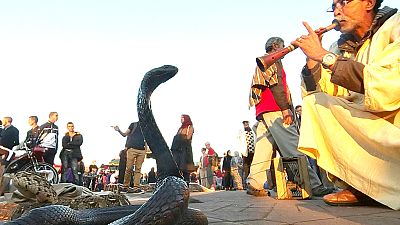 هند؛ جشنواره سالانه ستایش ایزد مارها