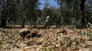 Europa sufre un verano de fuertes olas de calor y lluvias torrenciales