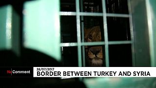 Aleppo zoo animals given new home in Turkey