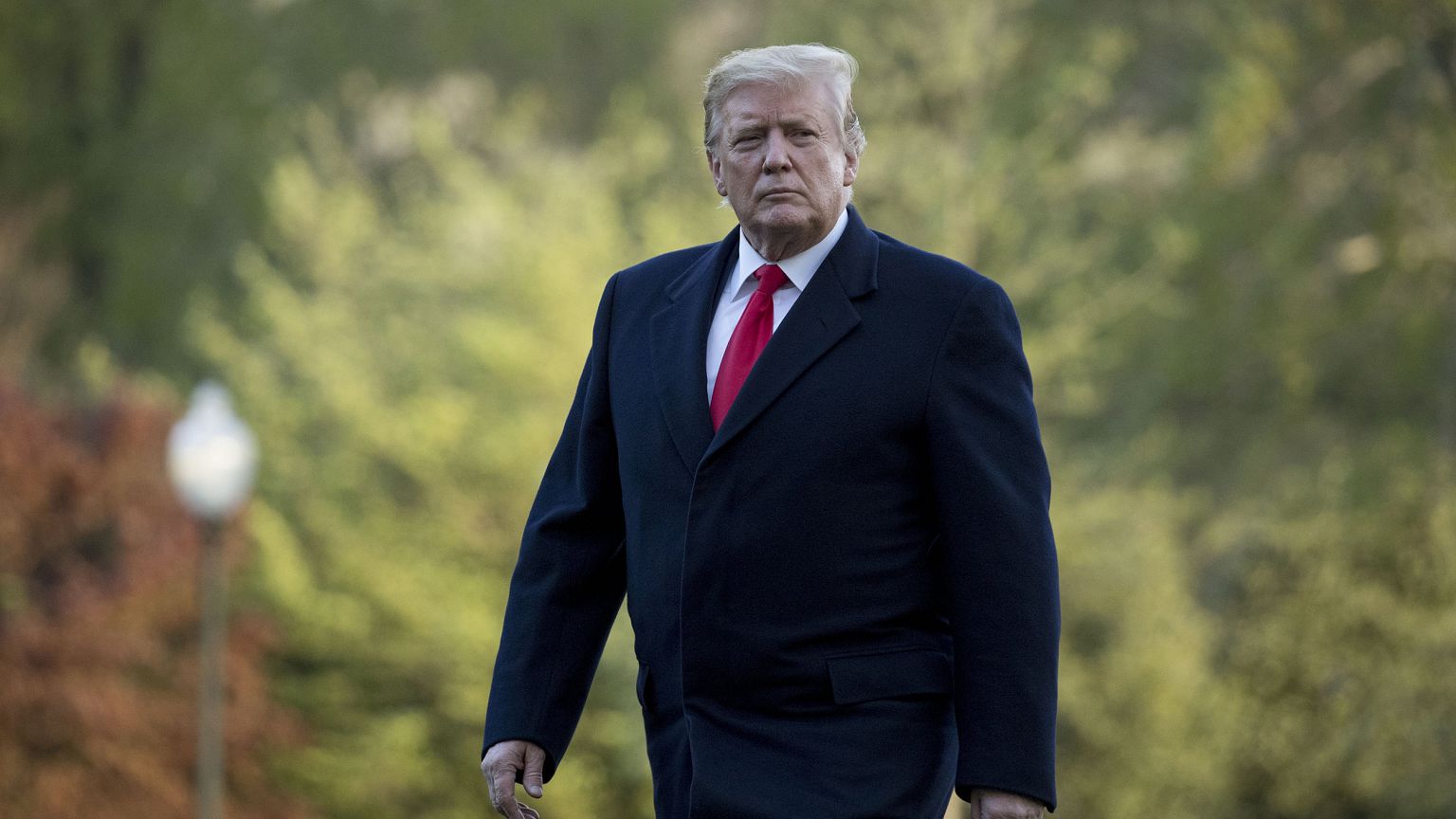 Image: Donald Trump