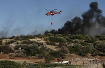 Μαίνεται η πυρκαγιά στα Καλύβια - Δεν κινδυνεύουν κατοικημένες περιοχές